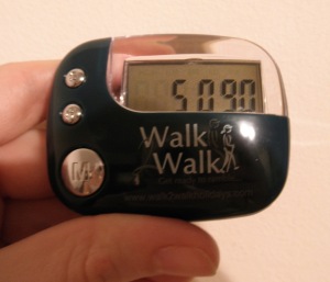 Pedometer Review