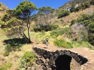 Hiking on Madeira - Bridge between Canical to Machico