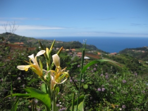 Walking in Madeira - Ilha to Santana