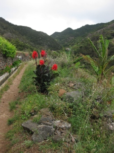 Walking in Madeira - Marocos to Canical